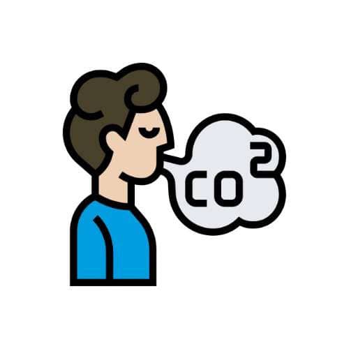 Breathing in and out CO₂